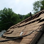 Rootten wood Removal