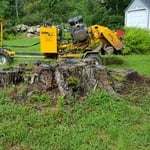 Stump Grinding