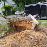 Stump Grinding