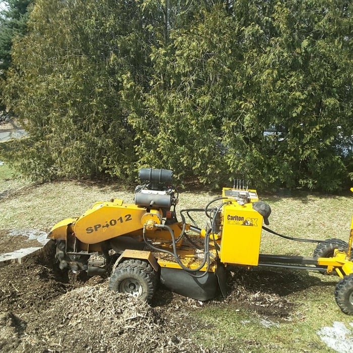 Stump Grinding