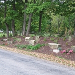 Outcroppings & Plants Installed Fall 2010