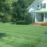 Fresh Cutting After 2 Weeks from Installation