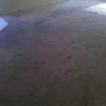 Before cleaning