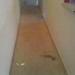 Hallway Before cleaning
