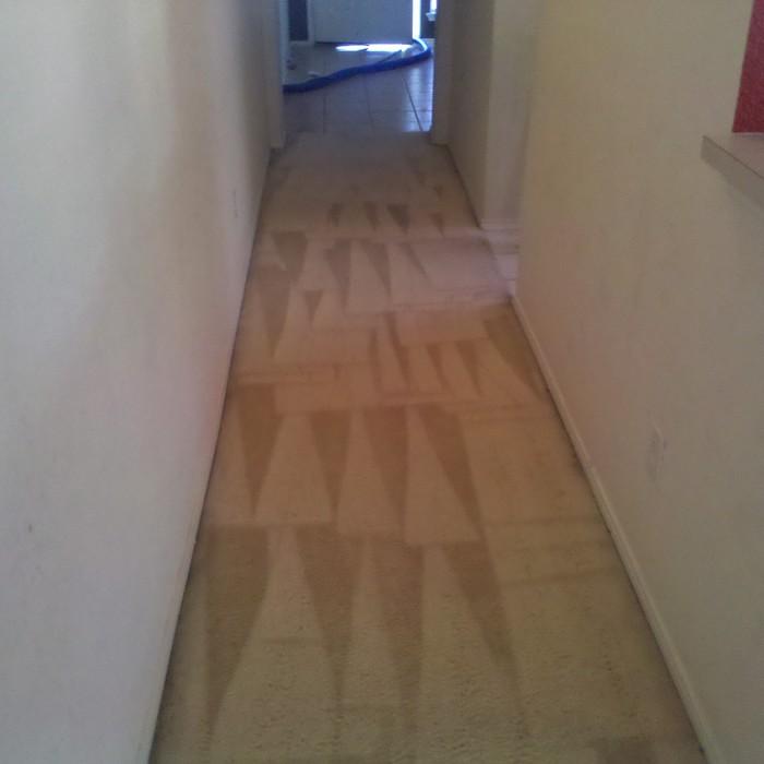 Hallway after cleaning