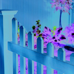 Vinyl Fence