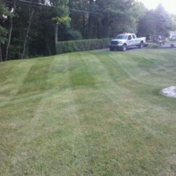STRIPES FOR EVERY LAWN