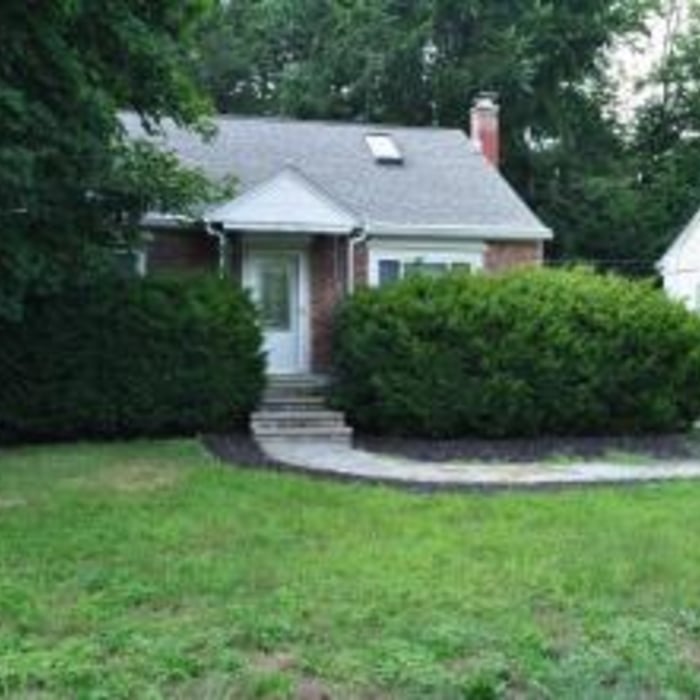 Remove Shrubs