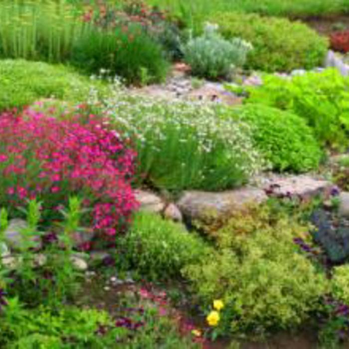 Specialty Plantings
