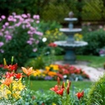 Perennial Garden