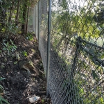 Galvanized Chain Link Fence