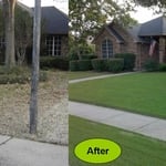 Lawn and Landscape Clean up