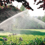 Landscape with proper irrigation