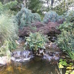 ponds