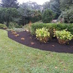landscape gardens