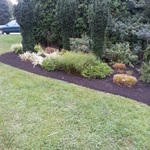 trim edge mulch islands