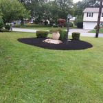 mulched islands