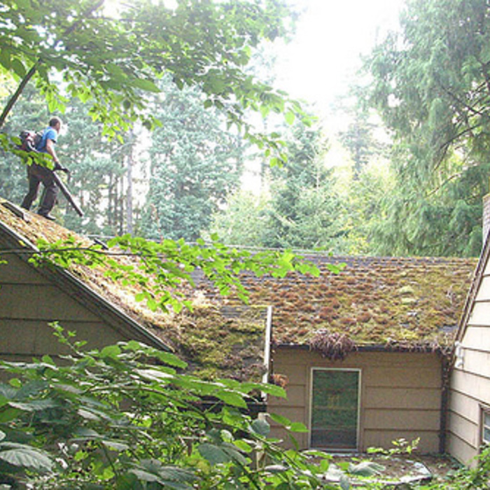 Before view. Roof cleaning using compound brush