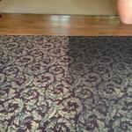 Before / After Carpet Cleaning