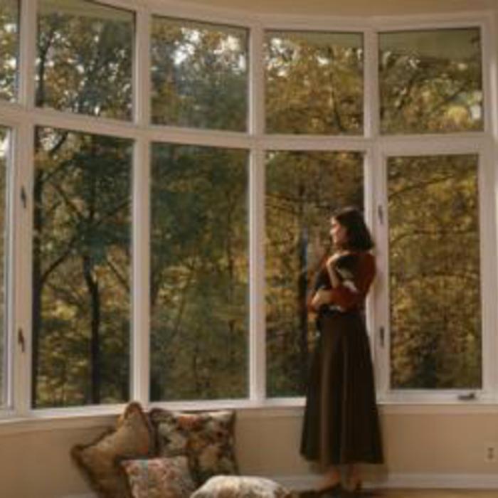 Energy Saving Windows and Doors