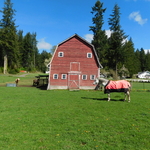 Snohomish Barn