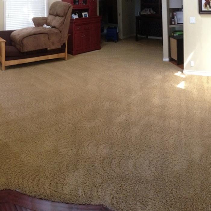 Pet Urine and Odor Removal
