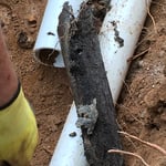 root pipe