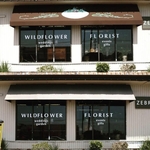 Awning Recovers
