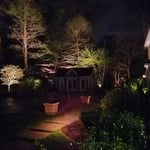 Around the Pool Lighting - Up lighting