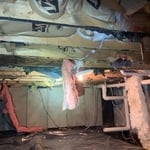 Basement Mold