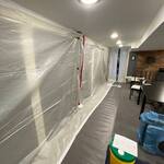 Basement Mold Mitigation Process