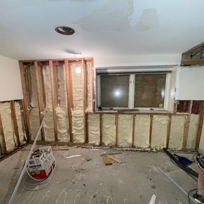Basement Mold Mitigation Process