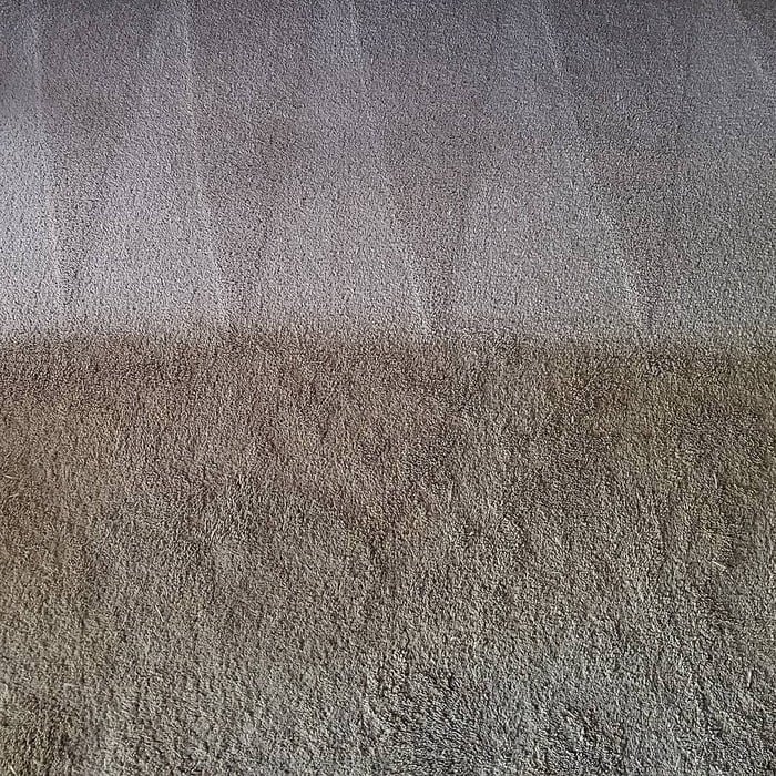 Dog Dirt