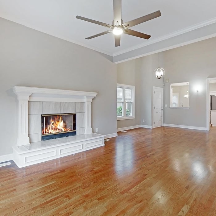 Living room/ fireplace
