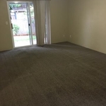 Clean Carpet!