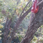 Rigging tools in white oak