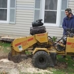 Stump grinding