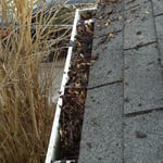 Gutters full of debris