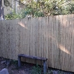 Bamboo fencing