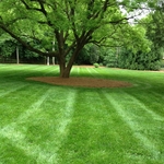 photo1