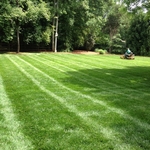 photo2