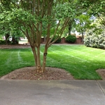 photo3