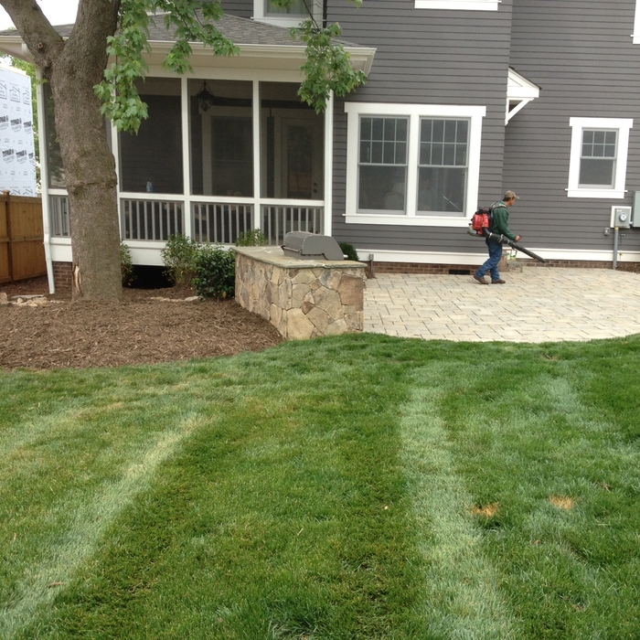 photo5