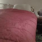 Untitled Gallery 1