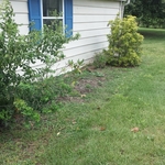 Side of garage