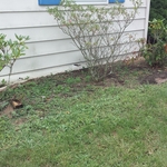 Rear of garage
