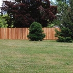 Privacy Fence 1x4 dogeared picket