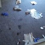 Carpet Steam Cleaning