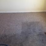 Carpet Steam Cleaning