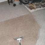 Before and After of Dog Oil